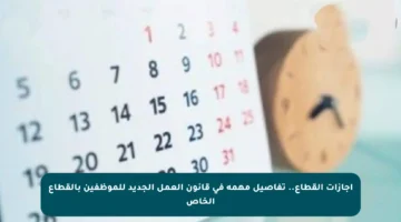 إجازات القطاع.. تفاصيل مهمة في قانون العمل الجديد للموظفين بالقطاع الخاص
